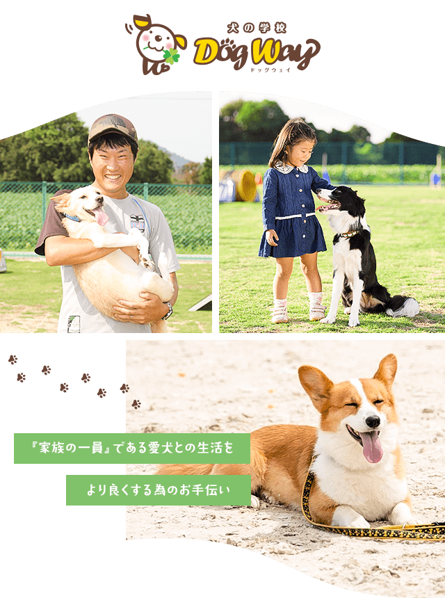 朝倉市で犬のアジリティ しつけ 保育園ならドッグウェイ Dogway